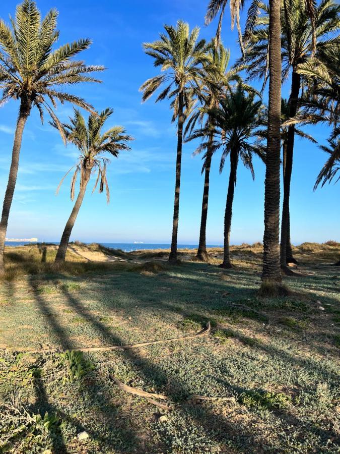 Gound Floor Bungalow Jumilla III Playa Flamenca Dehesa de Campoamor  Kültér fotó
